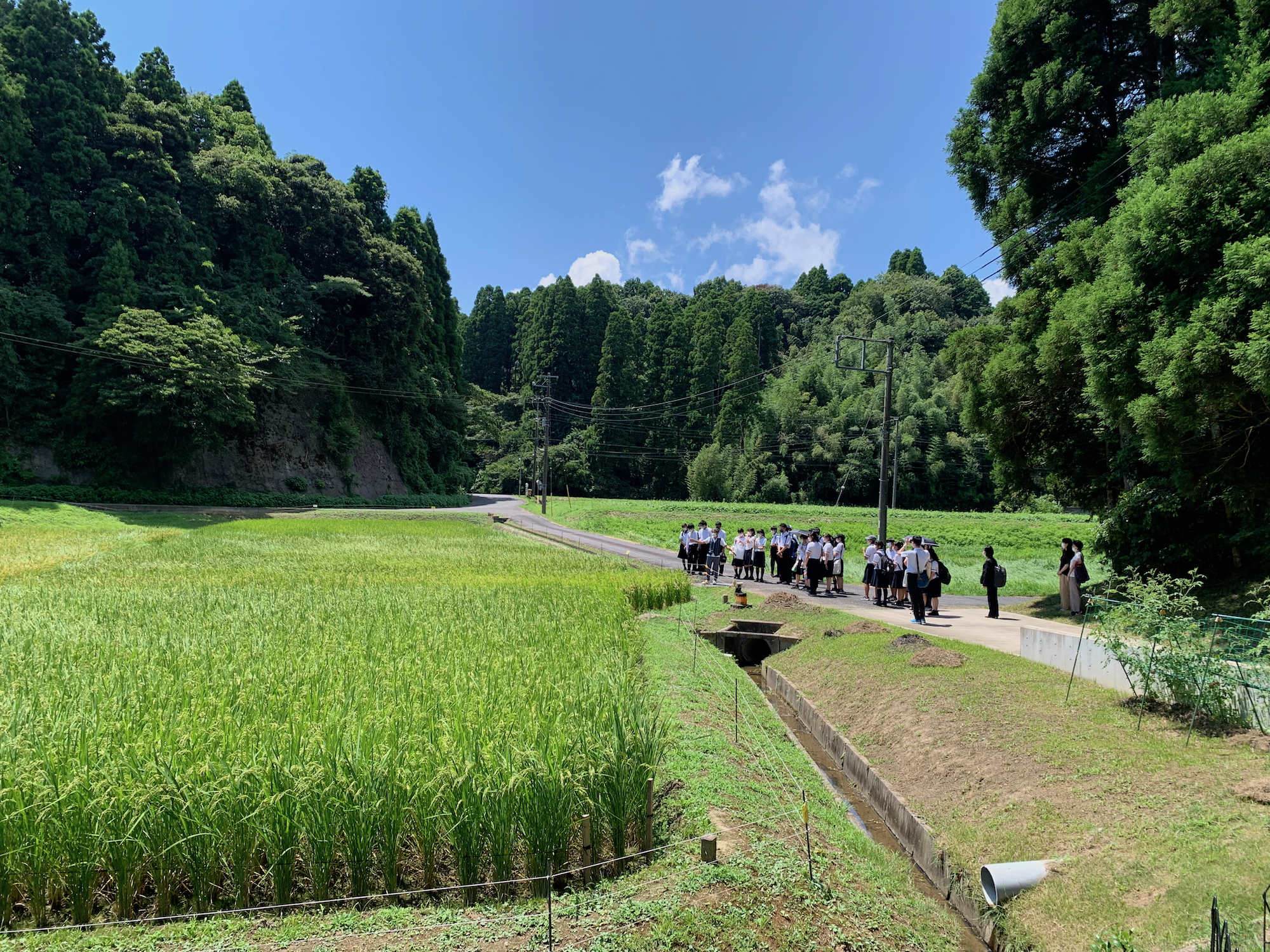 教育旅行　岩井ファーム